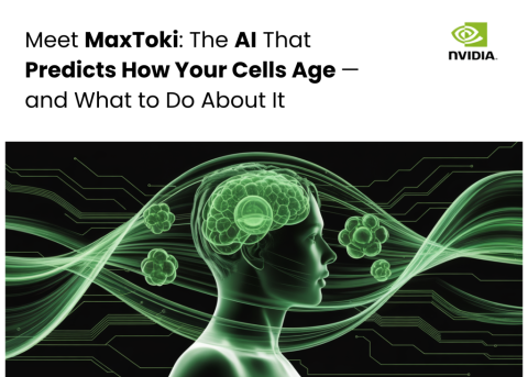 Meet MaxToki: The AI That Predicts How Your Cells Age