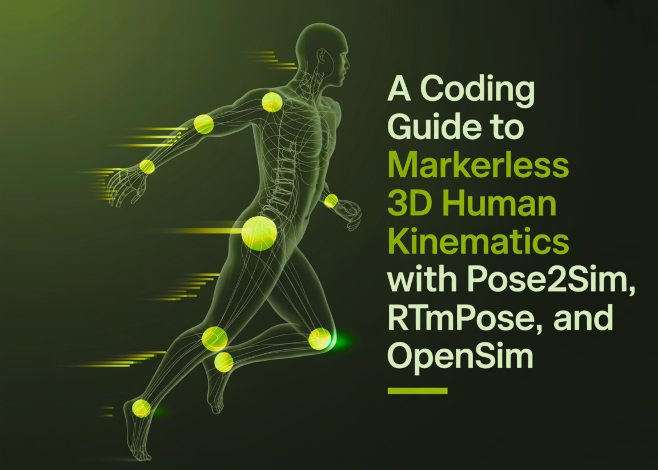 Creating a Pose2Sim Pipeline for Markerless 3D Kinematics