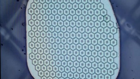 Max Hodak prepares for first human trials of brain-computer interface