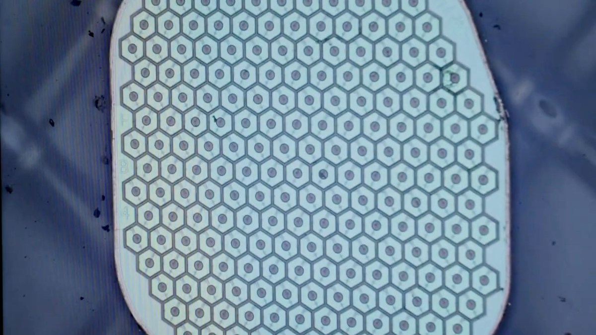 Max Hodak готовит первые испытания интерфейса для мозга человека