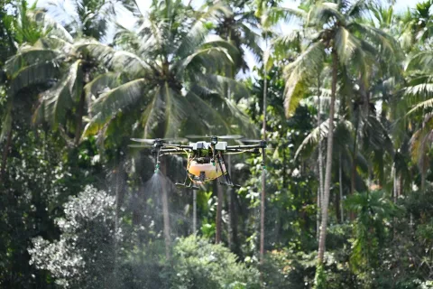 Drones become smarter for large agricultural holdings