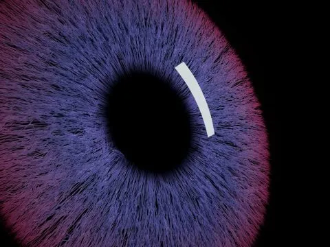 Family Offices Embrace AI for Financial Data Insights